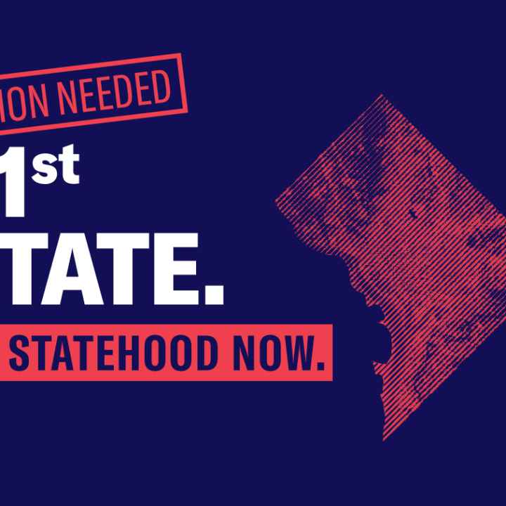 51st state. DC Statehood Now. Action Needed. 