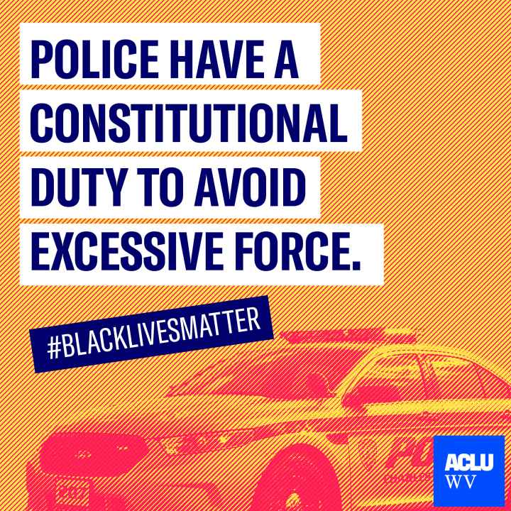 A police vehicle is shown with the words "Police Have A Constitutional Duty to Avoid Excessive Force" and "#BlackLivesMatter"