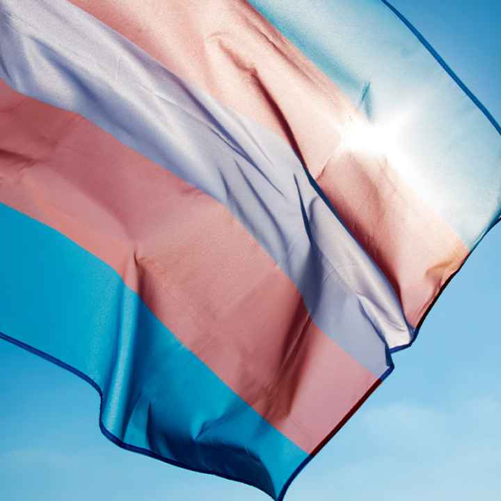 A trans pride flag blowing in the wind with sun rays shining through it. 